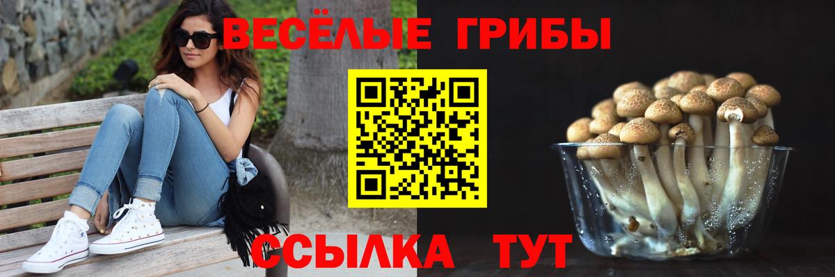 наркошоп  Галлюциногенные грибы Psilocybe  Псилоцибиновые грибы MAGIC MUSHROOMS  Вход с VPN  Михайловск 